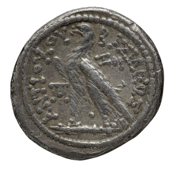реверс Seleucid Coins (part 2) 2117