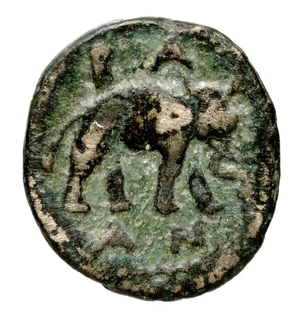 реверс Seleucid Coins (part 1) 340