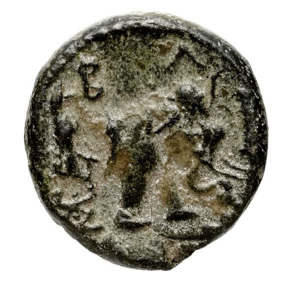 реверс Seleucid Coins (part 1) 342