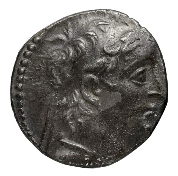 Seleucid Coins (part 2) 2196.2a, аверс, bnf-hrc