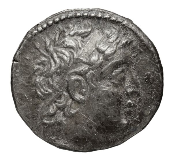 аверс Seleucid Coins (part 2) 2196.2b