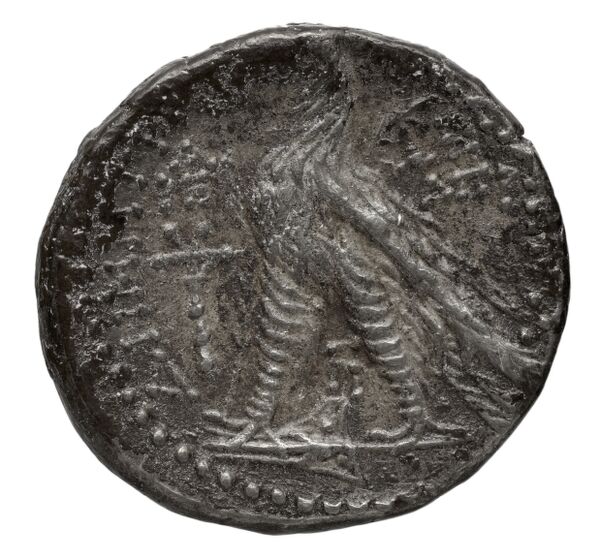 реверс Seleucid Coins (part 2) 2196.2b