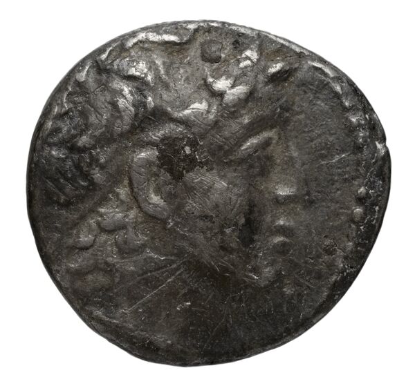Seleucid Coins (part 2) 2196.2b, аверс, bnf-hrc