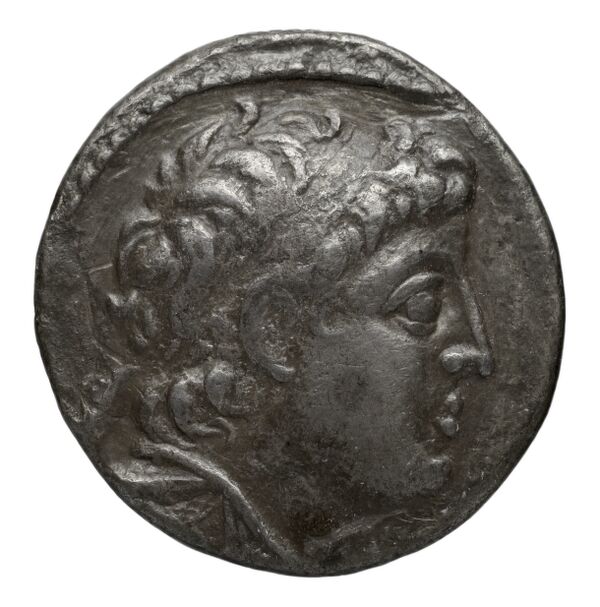 аверс Seleucid Coins (part 2) 2196.4c