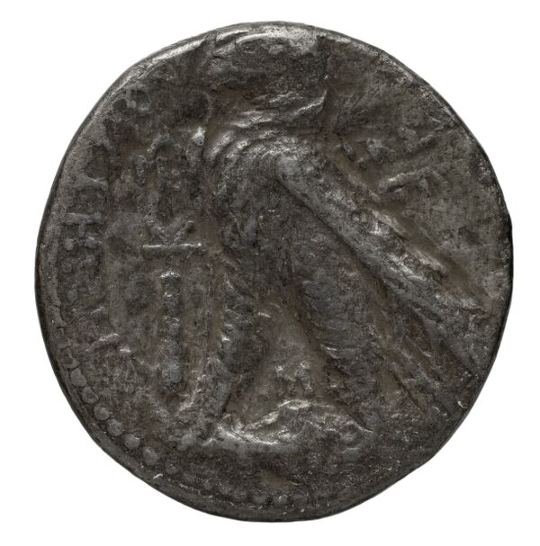 реверс Seleucid Coins (part 2) 2196.4c