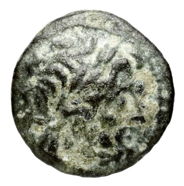 аверс Seleucid Coins (part 1) 344