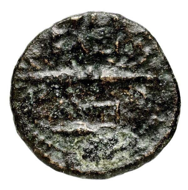 реверс Seleucid Coins (part 1) 344