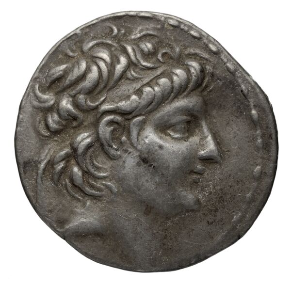 Seleucid Coins (part 2) 2219.3d, аверс, bnf-hrc