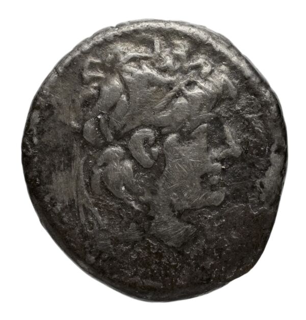 аверс Seleucid Coins (part 2) 2224b