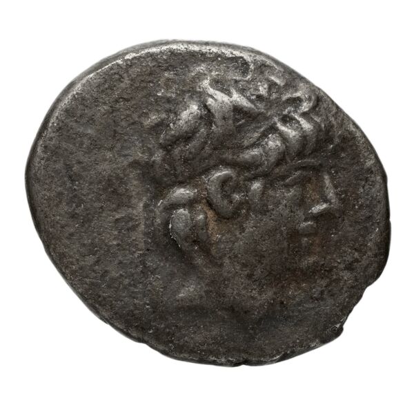 аверс Seleucid Coins (part 2) 2224