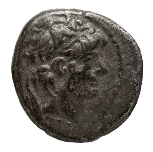 аверс Seleucid Coins (part 2) 2224a