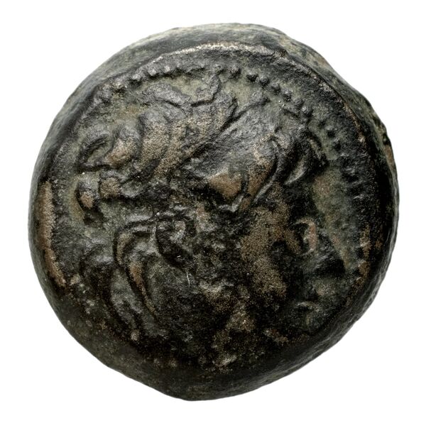 Seleucid Coins (part 2) 2229, аверс, bnf-hrc