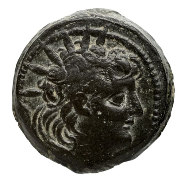 аверс Seleucid Coins (part 2) 2237.2b