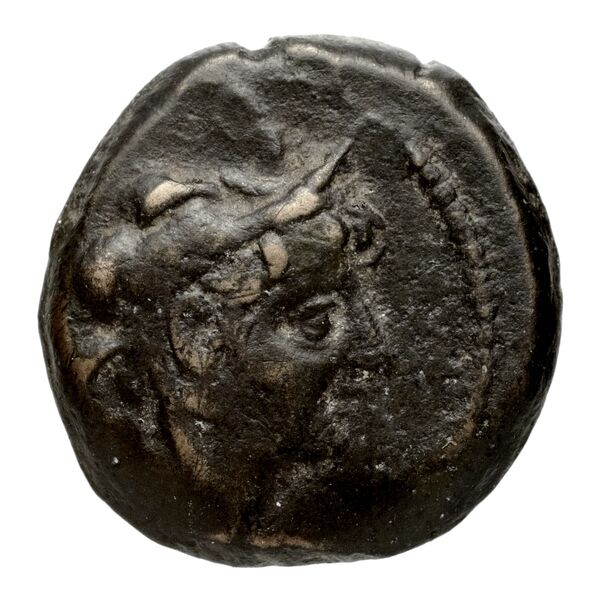 аверс Seleucid Coins (part 2) 2234.1