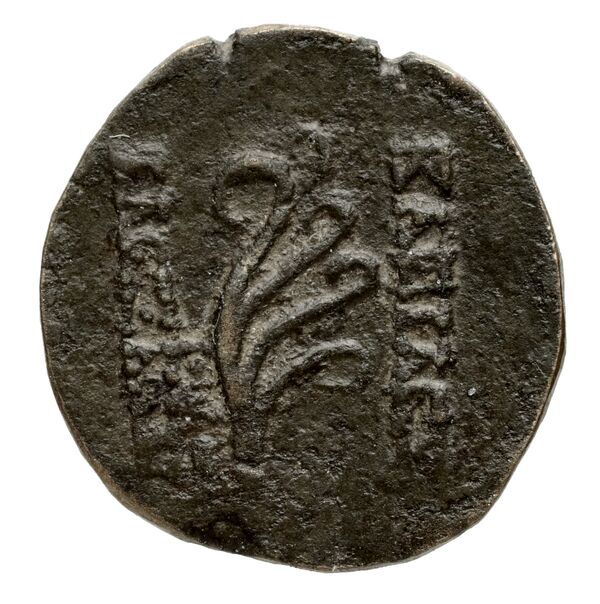 реверс Seleucid Coins (part 2) 2234.1