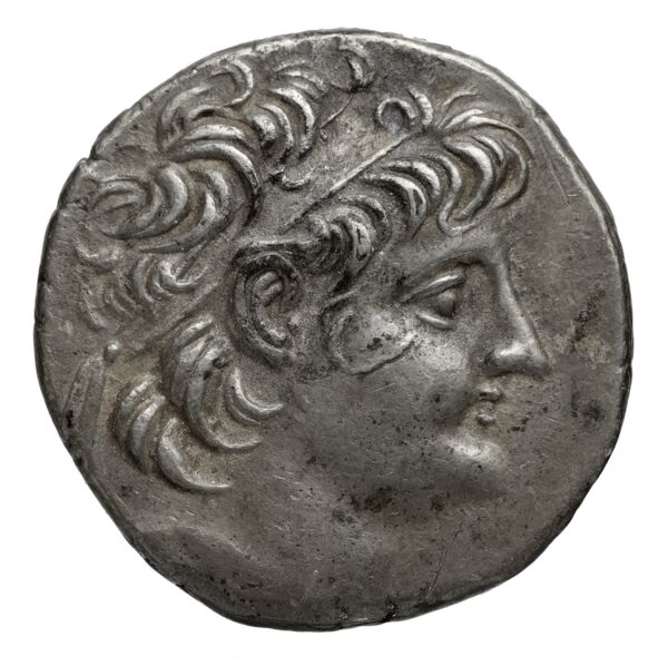 Seleucid Coins (part 2) 2248.6b, аверс, bnf-hrc