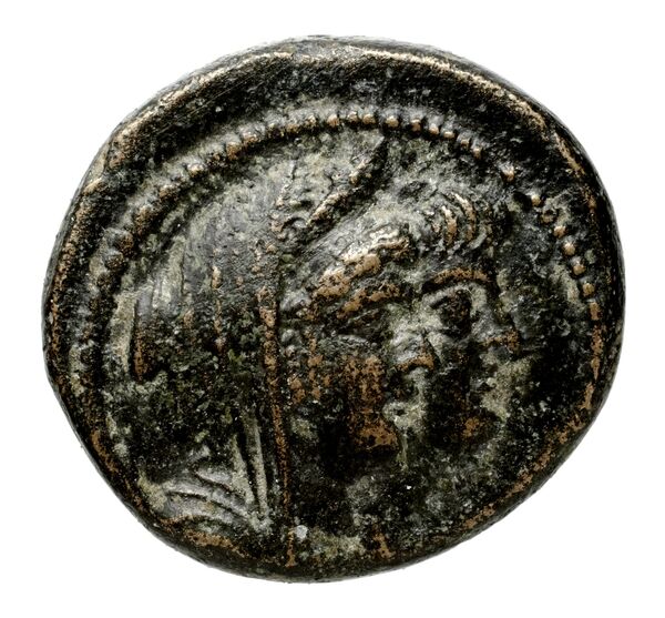 Seleucid Coins (part 2) 2265.1d, аверс, bnf-hrc