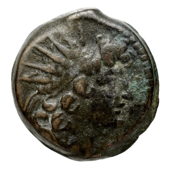 Seleucid Coins (part 2) 2300.7b, аверс, bnf-hrc