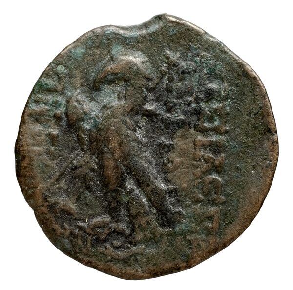 Seleucid Coins (part 2) 2300.7b, реверс, bnf-hrc