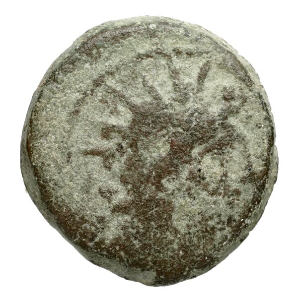 Seleucid Coins (part 2) 2300, аверс, bnf-hrc