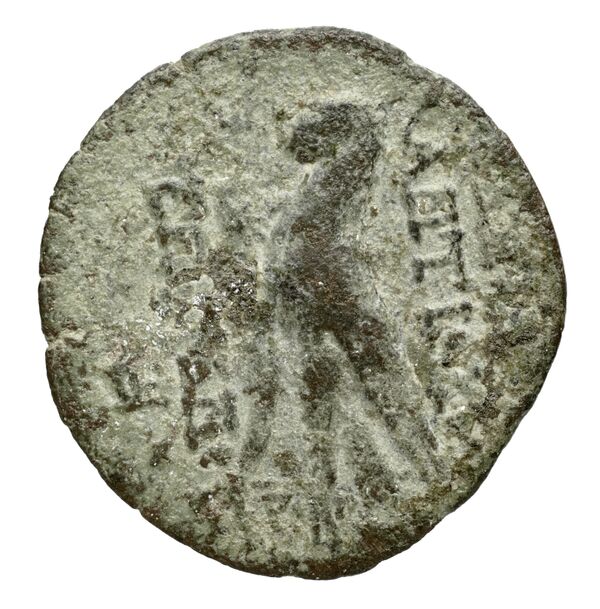 Seleucid Coins (part 2) 2300, реверс, bnf-hrc