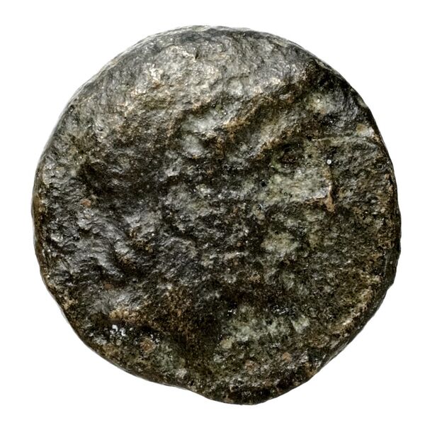 Seleucid Coins (part 1) 353, аверс, bnf-hrc