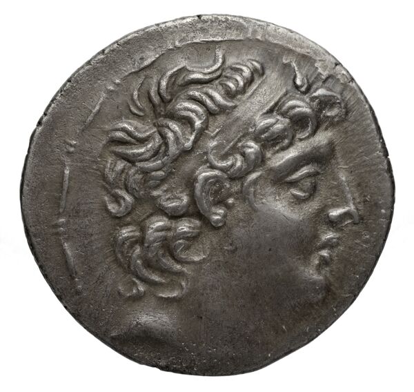 Seleucid Coins (part 2) 2330.2, аверс, bnf-hrc