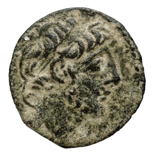 аверс Seleucid Coins (part 2) 2364.1g