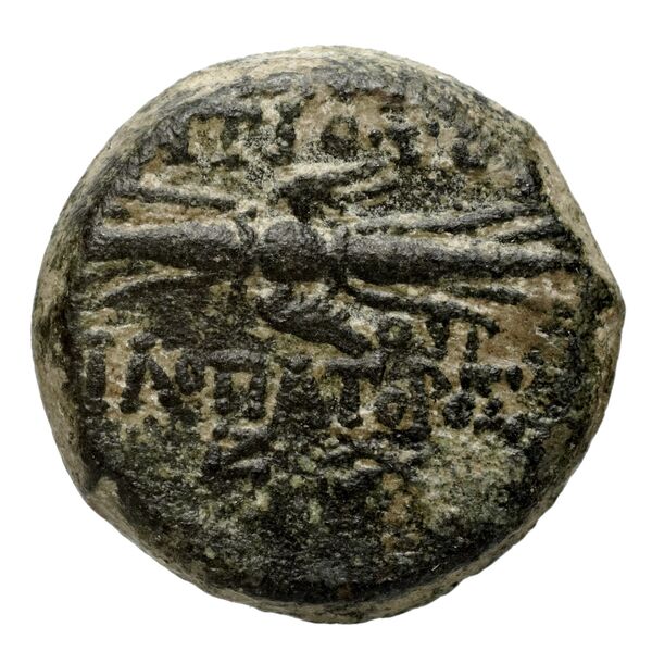 реверс Seleucid Coins (part 2) 2364.1g
