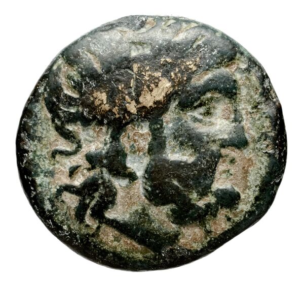 аверс Seleucid Coins (part 1) 355