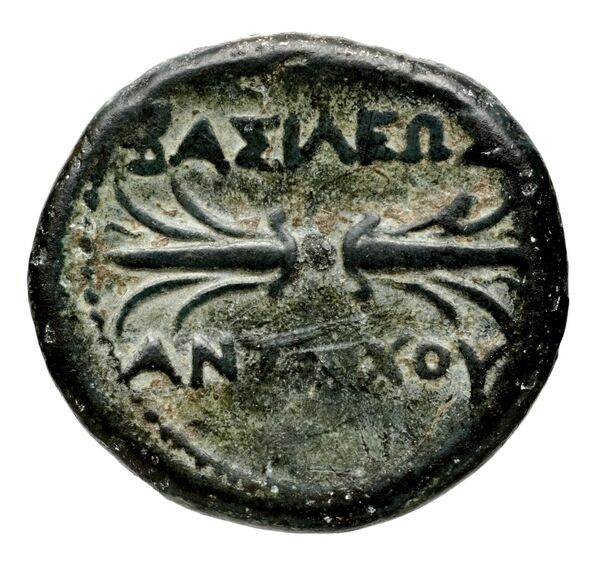 реверс Seleucid Coins (part 1) 355