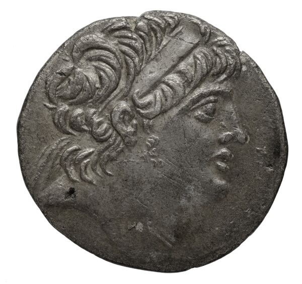 Seleucid Coins (part 2) 2389a, аверс, bnf-hrc