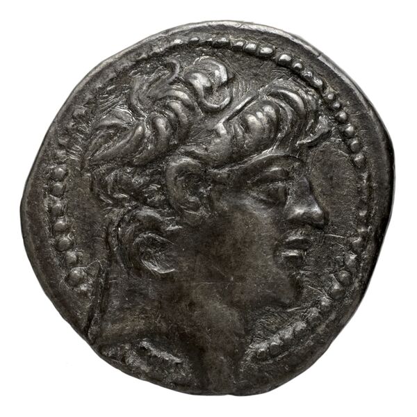 Seleucid Coins (part 2) 2430, аверс, bnf-hrc