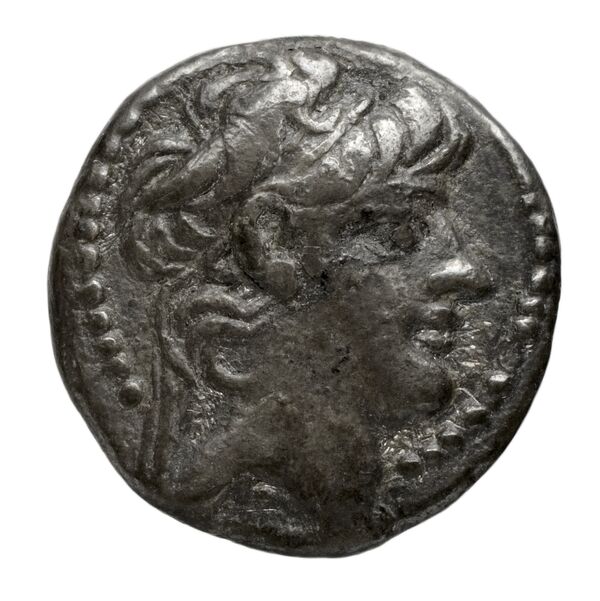 Seleucid Coins (part 2) 2431, аверс, bnf-hrc