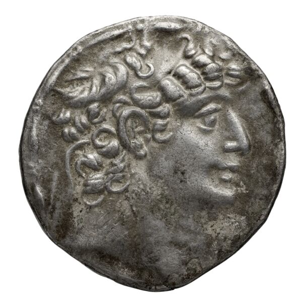 Seleucid Coins (part 2) 2463.3h, аверс, bnf-hrc