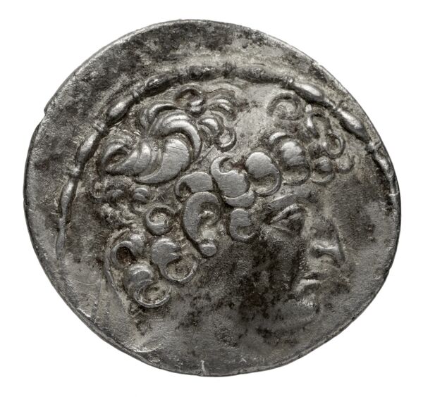 аверс Seleucid Coins (part 2) 2459b
