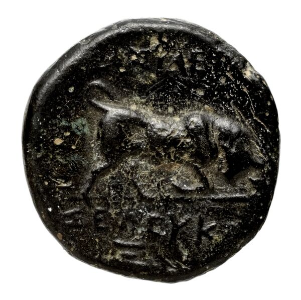 reverse Seleucid Coins (part 1) 22.1
