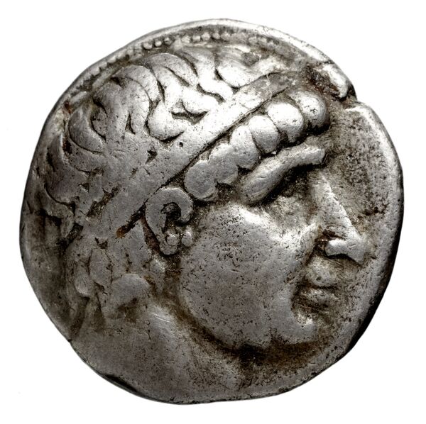 аверс Seleucid Coins (part 1) 409.2d