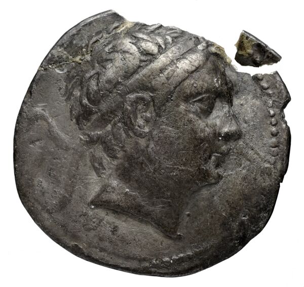 аверс Seleucid Coins (part 1) 919