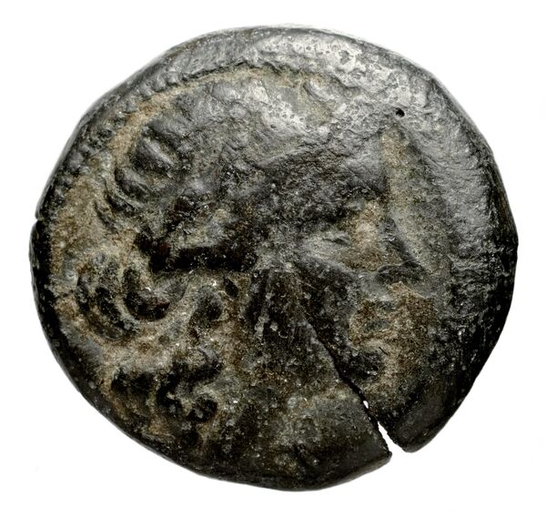 obverse Seleucid Coins (part 1) 937