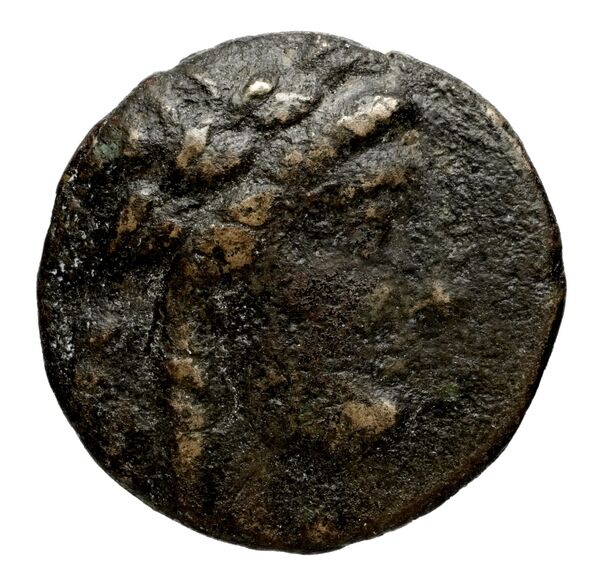 Seleucid Coins (part 1) 955.1, аверс, bnf-hrc