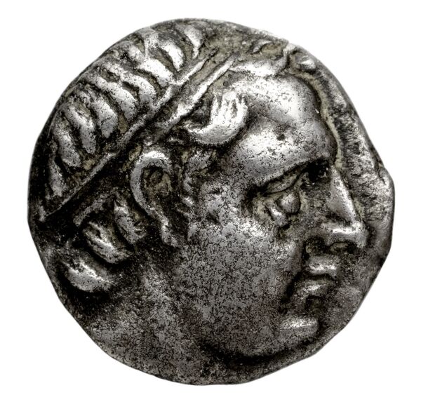 Seleucid Coins (part 2) 1363, аверс, bnf-hrc
