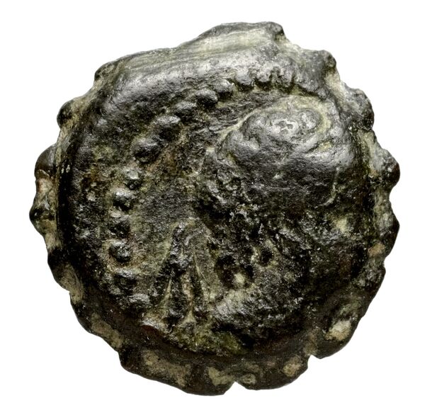 Seleucid Coins (part 2) 1478.1n, аверс, bnf-hrc
