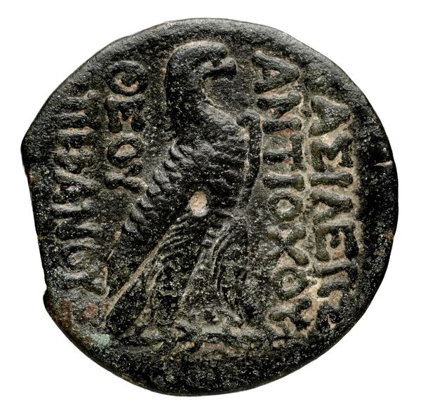 Seleucid Coins (part 2) 1413, реверс, bnf-hrc