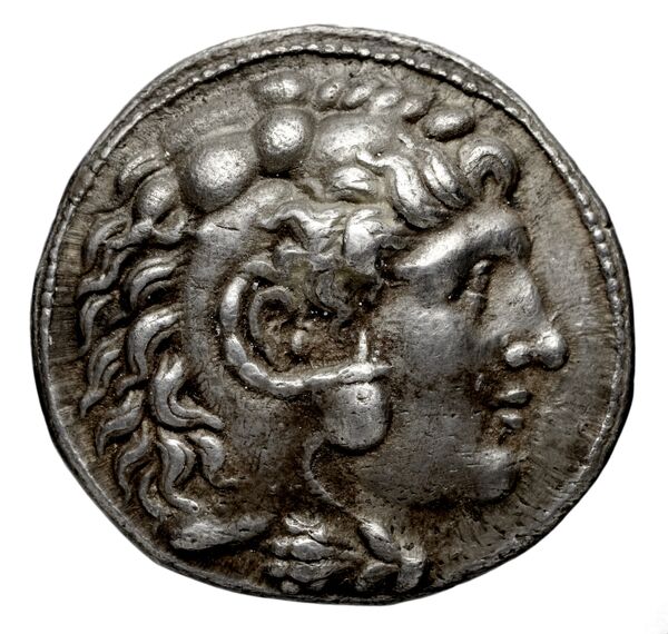 Seleucid Coins (part 1) 357.6, аверс, bnf-hrc