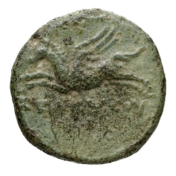 Seleucid Coins (part 1) 712.1, реверс, bnf-hrc