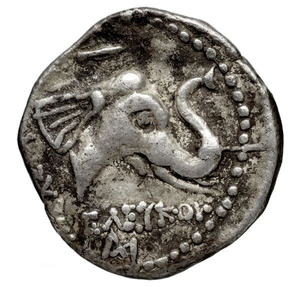 реверс Seleucid Coins (part 1) 181a