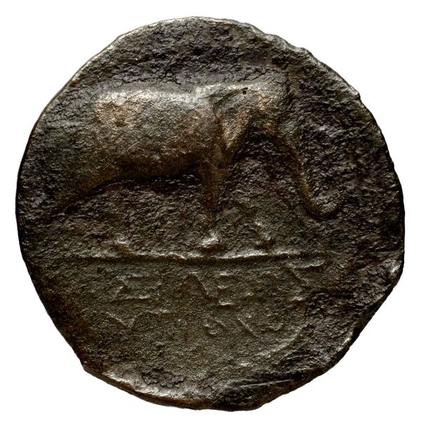 Seleucid Coins (part 1) 1089.3a, реверс, bnf-hrc