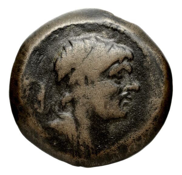 Seleucid Coins (part 2) 1600, аверс, bnf-hrc