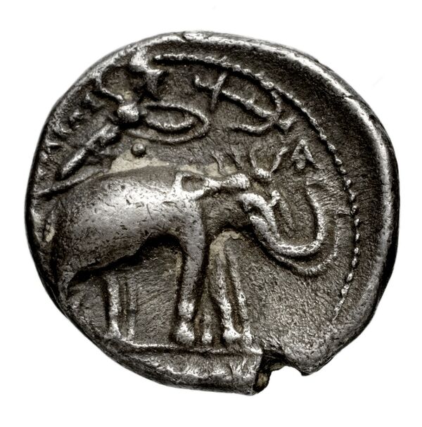 реверс Seleucid Coins (part 1) 133.3a